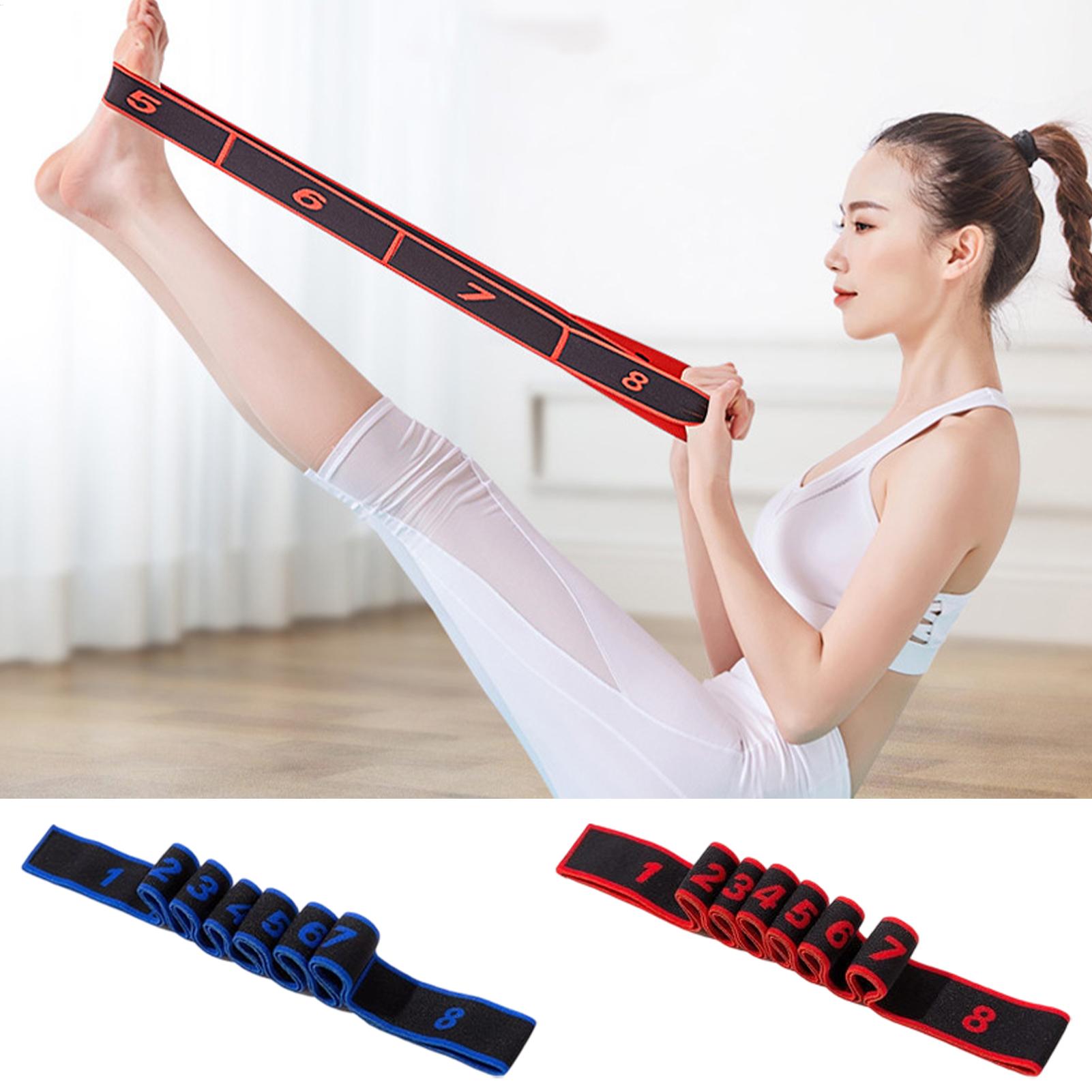 Эластичный растягивающийся рем – обзор и цена Pilates Bar Kit With Resistance Bands